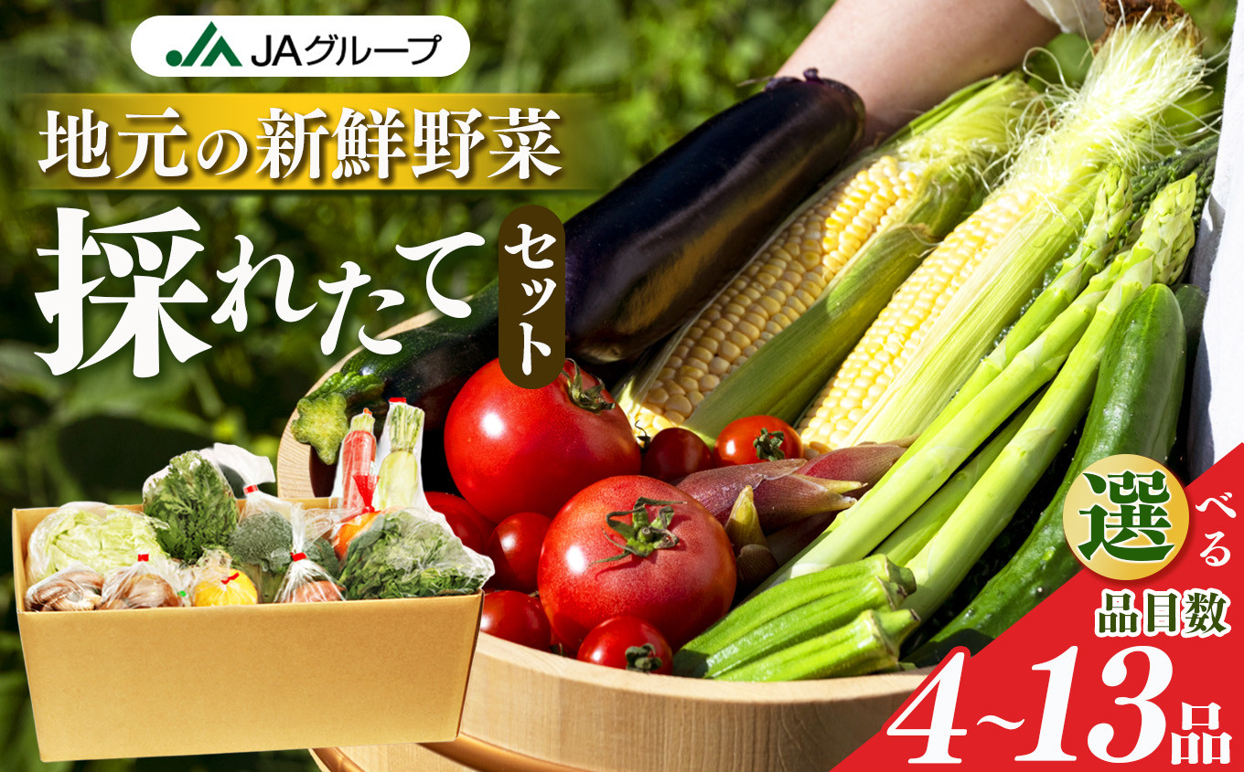 
            季節の野菜セット | ヤサイ 野菜 やさい 詰め合わせ セット せっと 詰合せ 組み合わせ まとめ マトメ 奈良県 五條市 果物 新鮮 季節 お試し バーベキュー BBQ おすすめ 冬 春 夏 秋 国産 季節の野菜  
          