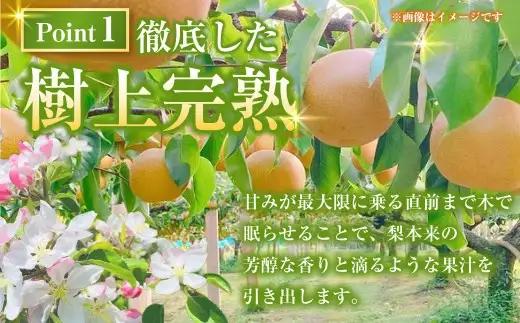 浅岡農園 の 梨 約5kg 豊水 秋月 新高 甘太 果物 大分県産 【2026年9月上旬-11月上旬発送予定】