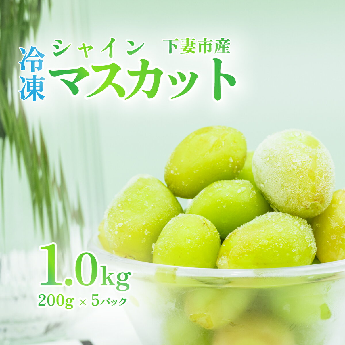【ふるさと納税】【訳あり】冷凍シャインマスカット約1kg（約200g×5パック） 冷凍食品 真空パック 国産 皮ごと食べられる種なしぶどう ぶどう 果物 フルーツ ギフト 簡単 便利グレープ おすすめ 人気 デザート おやつ【TV等で話題の凍眠（急速冷凍）1万円】