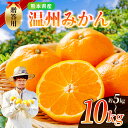 【ふるさと納税】 贈答用 ノナカ柑橘農園 温州みかん 選べる 5kg or 10kg ｜ 果物 くだもの フルーツ 柑橘 柑橘類 みかん 温州 贈答用 熊本県 玉名市