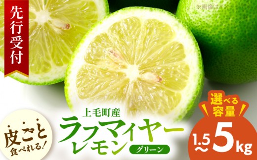 
                  【先行受付】 上毛町産ラフマイヤーレモン（グリーンレモン） OF0108-SKU
                