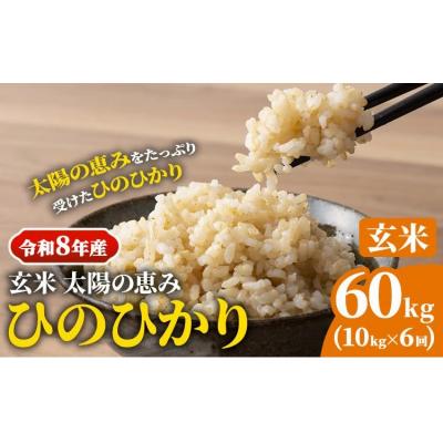 ふるさと納税 笠岡市 【令和8年産 先行受付】玄米 ひのひかり 笠岡産 60kg 太陽の恵み O-16a_60kg_玄米