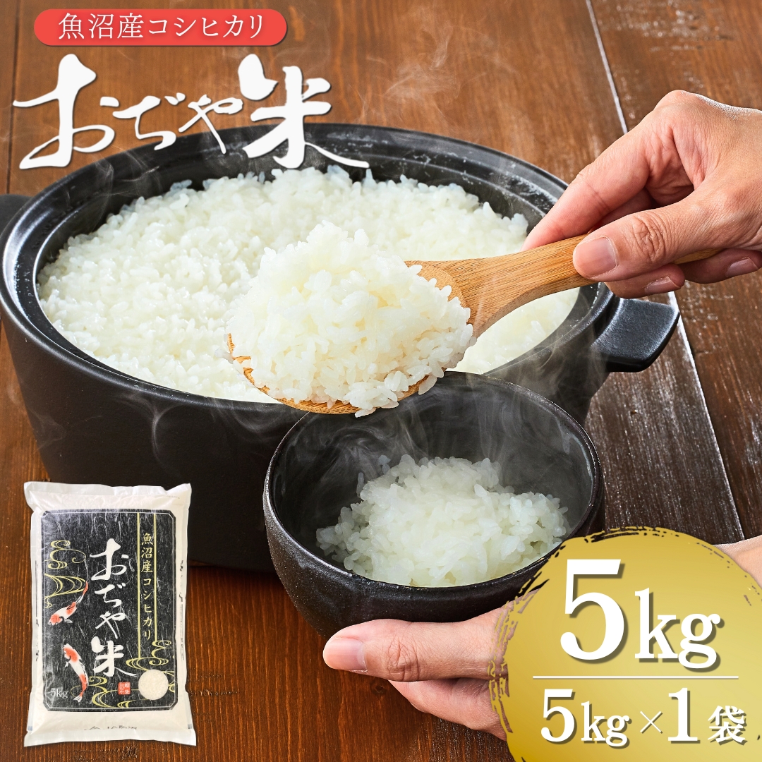 令和7年産 魚沼産コシヒカリ 5kg JA魚沼 【0002-JA02-03】