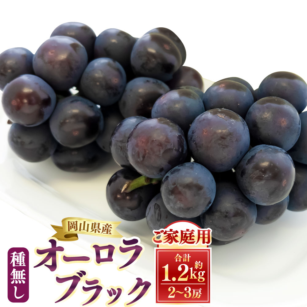 【ふるさと納税】 【 ご 家庭 用 】 オーロラブラック 2～3房 1.2kg 【 2026年9月上旬から10月上旬頃発送予定 】 果物 くだもの フルーツ ぶどう ブドウ 葡萄 種無し 大粒 甘味が強い 甘い 果汁 食べ応え 岡山県 美咲町 送料無料