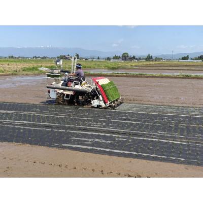ふるさと納税 川西町 【令和7年産】栽培期間中農薬不使用米 つや姫玄米 10kg |  | 01
