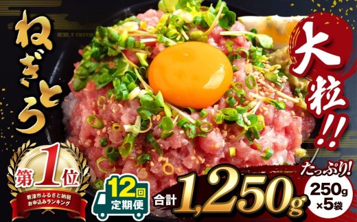 【定期便・12ヶ月】清幸丸水産 大人気！ねぎとろ（250g×5袋）1250g | ネギトロ とろ 鮪 海鮮 魚介 魚 人気 小分け 人気 定番 ご飯 オススメ 千葉県 君津市 きみつ