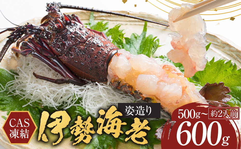 CAS凍結 伊勢海老 姿造り 500g ～ 600g 約2人前