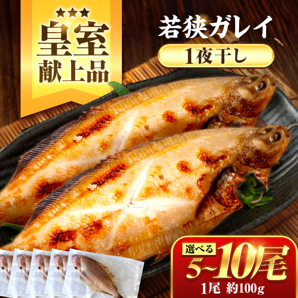 【ふるさと納税】【年内配送】献上鰈 上品な味わい 若狭かれい一夜干し 枚数が選べる5尾/10尾 / 干物 魚介 冷凍 ギフト 小浜市 / まるほ商店 【配送不可地域：北海道・沖縄・離島】[BFCS059]