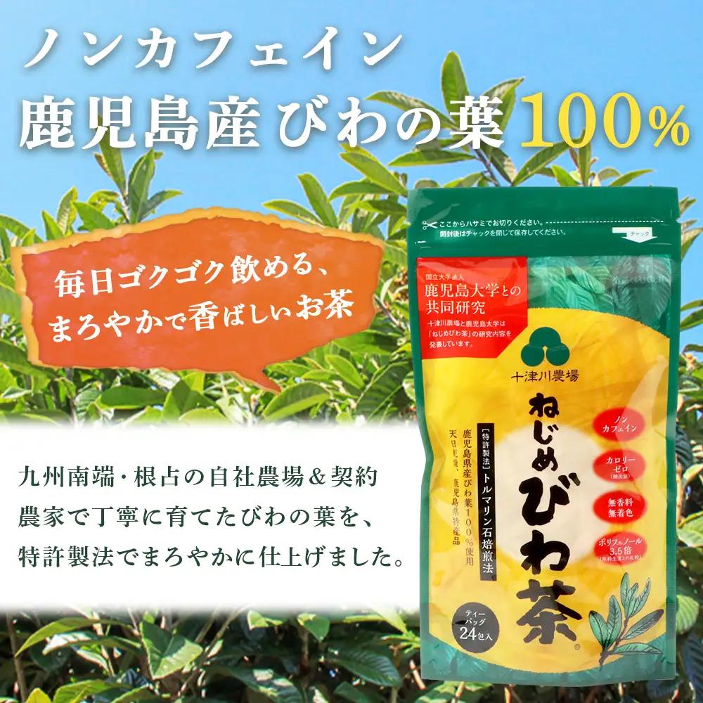 【定期便 全12回】≪12ヶ月連続で毎月お届け≫ 鹿児島県産 ねじめびわ茶 ティーバック ≪1回あたり(24包入×1袋) ≫  ノンカフェイン  TO-3-NP| 国産 お茶 健康茶 びわ茶 ポリフェ