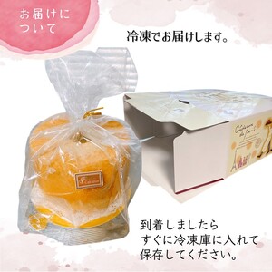 手作りチョコ＆チョコシフォンケーキ 7号 ふわふわ ベーキングパウダー不使用 保存料・添加剤不使用 美味しい おすすめ 箱入り ギフト 贈り物 冷凍品