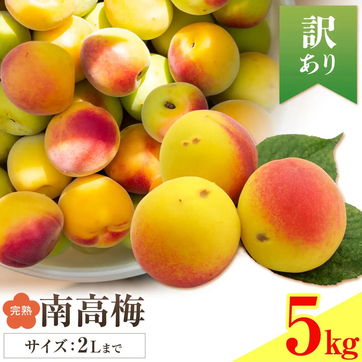 紀州南高梅 訳あり(完熟) 2L 5kg 農業福祉研究機構《6月下旬-7月上旬頃出荷》