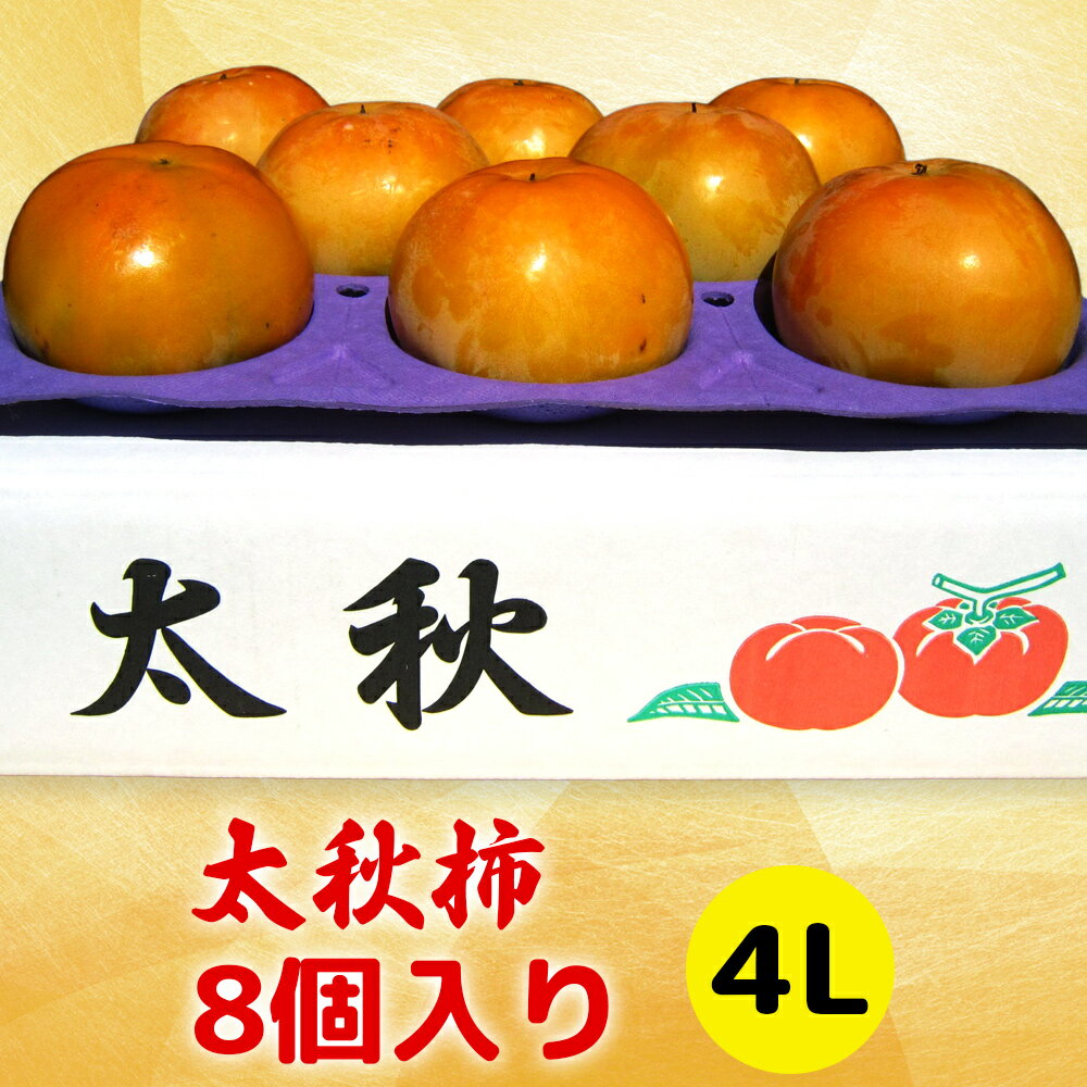 【ふるさと納税】[先行予約] 令和8年産 太秋柿 4Lサイズ 8個入り《2026年10月上旬より発送予定》[1000]｜かき 柿 太秋 フルーツ カキ 果物 くだもの 産地直送 高橋柿ファーム 岐阜県 本巣市 16000円
