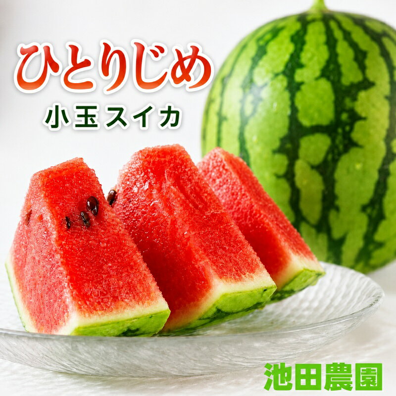 【ふるさと納税】 小玉 すいか 「ひとりじめHM」 2玉 約3kg 4玉 約6kg シャリ感＆高糖度！ [秀品] / 高級 甘い 和歌山 フルーツ 西瓜 果物 ※2027年6月上旬〜6月下旬頃に順次発送予定 ※北海道・沖縄・離島への配送不可