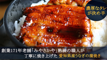 うなぎ 蒲焼き 2串 200g 真空パック 国産 冷蔵 うなぎ 惣菜