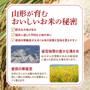 【令和6年産米】※2024年12月後半スタート※　つや姫20kg×3回 隔月定期便　hi009-026-12043