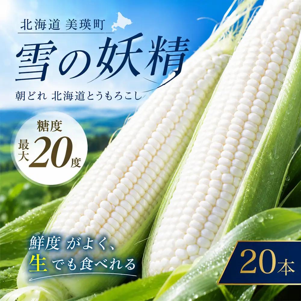 【令和9年産 先行予約】とうもろこし 雪の妖精 20本 白 とうもろこし 北海道