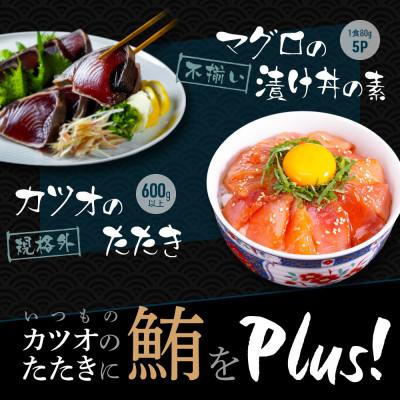 ふるさと納税 高知市 規格外カツオたたき 約600g+マグロ漬け丼の素 約80g×5パック【BX044】