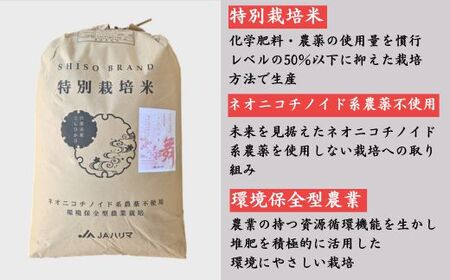 P17　玄米 30Kg コシヒカリ「 みかたの舞 」 特別栽培米 【 こしひかり コシヒカリ 特別栽培米 お米 米 玄米 白米 精米 ブランド米 30キロ 兵庫県産 兵庫県 ジャパンフードセレクション