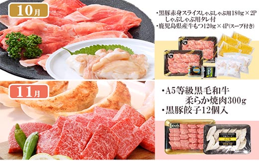 定期便(1年で10回配送)お楽しみ便(A5等級黒毛和牛・鹿籠豚(黒豚)・かご豚加工品等HH-6004【1166752】 _ ふるさと納税 定期便 肉 牛肉 サーロイン ステーキ 焼肉 ハンバーグ 切り