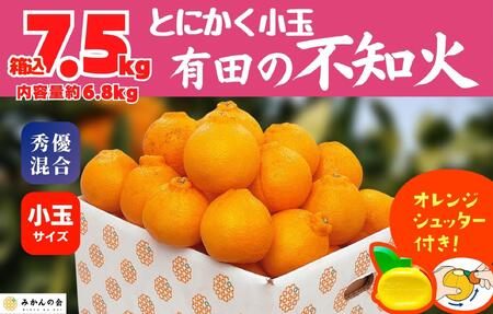 不知火 とにかく 小玉 箱込 7.5kg(内容量約 6.8kg) 秀優品混合 和歌山県産 産地直送［みかんの会］