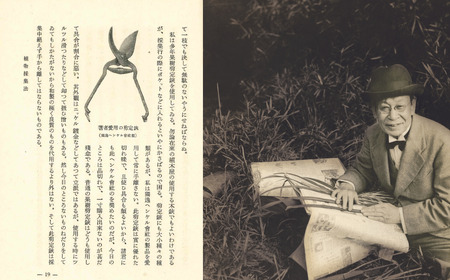 剪定バサミ Makino Edition 牧野富太郎 数量限定 剪定鋏 ハサミ ツヴィリング 三条製 燕三条 園芸用品 【038S014】