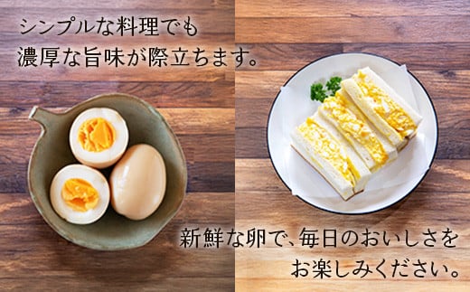 【わけあり】霧島山麓育ち こだわり卵 康卵 MSサイズ 計216個（196個 + 破損保証 20個）
