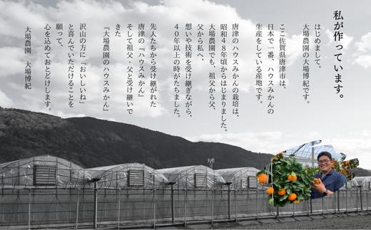 『予約受付』【令和6年6月上旬発送】夏の極上ハウスみかん「夏織」2.5kg 手提げ箱入り～海と空と、みかん～甘くてとろける夏の果物 ミカン フルーツ 柑橘 ギフト