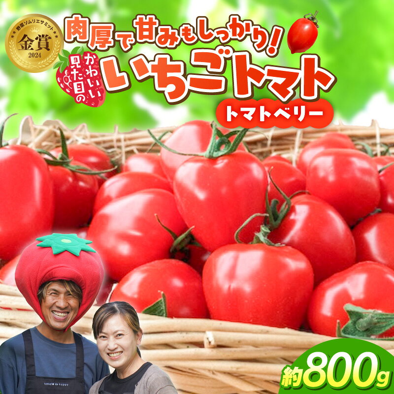 【ふるさと納税】高評価☆4.72 ミニトマト 約 800g お試し 幻 トマトベリー フルーツミニトマト 甘い いちご型 野菜ソムリエサミット 金賞 受賞 薄皮 食べやすい 完全木熟栽培 リコピン お取り寄せ グルメ 野菜 産地直送 長田農園 ランキング急上昇 愛知県 碧南市 送料無料
