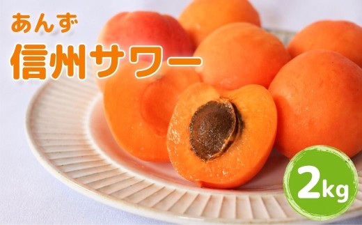 【2027年先行予約】あんず 信州サワー(長野県オリジナル品種) 約2kg | 杏子 アプリコット シロップ漬け 千曲市産 長野県 信州