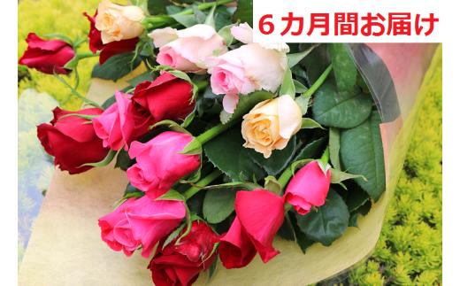 【約15本×6カ月】生産者直送　有機栽培で育った朝切りバラの花束　花の定期便　【11246-0338】