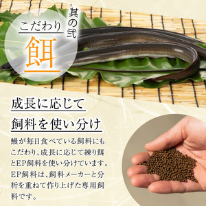 うなぎ 無投薬 鹿児島県産 (1尾あたり136g～155g×4尾) うなぎ 【西日本養鰻】A584