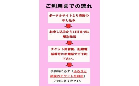 いちご狩り4名用チケット 体験チケット フルーツ狩り 親子 子連れ ファミリー 食べ比べ お出かけ 