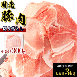 国産豚肉切り落とし 300g×10P(計3kg)【配送不可地域：離島】【1658904】