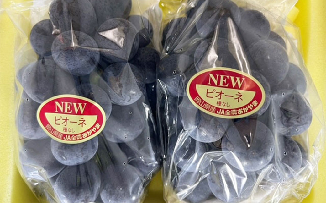ニューピオーネ2房化粧箱入り（合計約1.1kg）