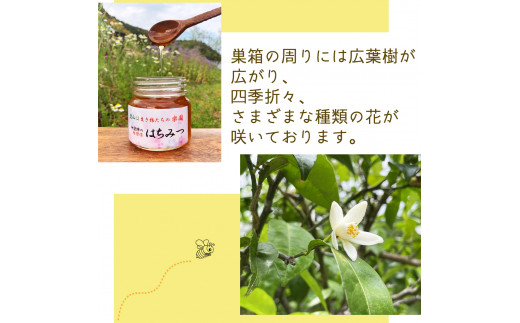 天然百花蜂蜜 600g はちみつ 天然百花蜂蜜 600g 蜂蜜 ハチミツ 国産 天然 百花
