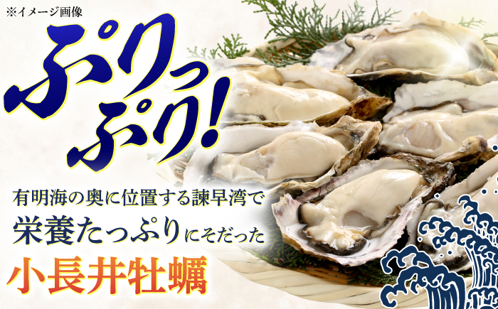 【長崎県小長井町産】小長井牡蠣瓶詰3種 / 牡蠣 カキ かき 小長井牡蠣 つまみ 燻製 オリーブオイル オイスターソース / 諫早市 / 諫早湾漁業協同組合 [AHBJ011]