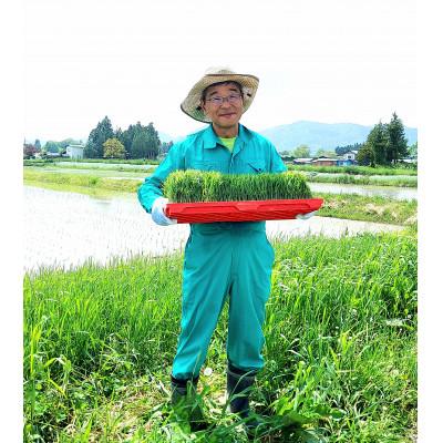 ふるさと納税 花巻市 【毎月定期便】銀河のしずく 厳選プレミアム　極(kiwami)　5kg タカハシ農園全3回 |  | 02