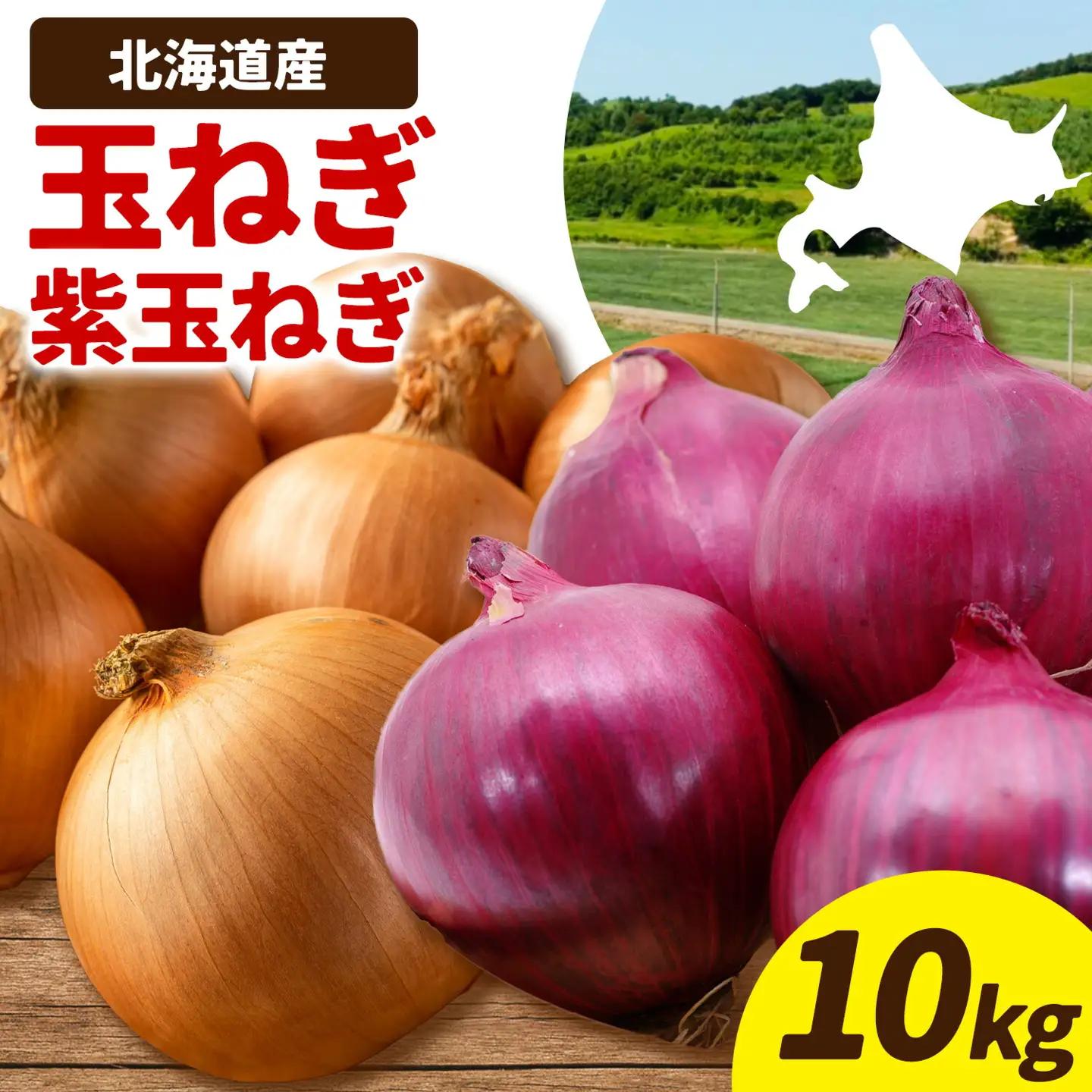 野菜 玉ねぎ・紫玉ねぎ 10kg B&T TRADING株式会社