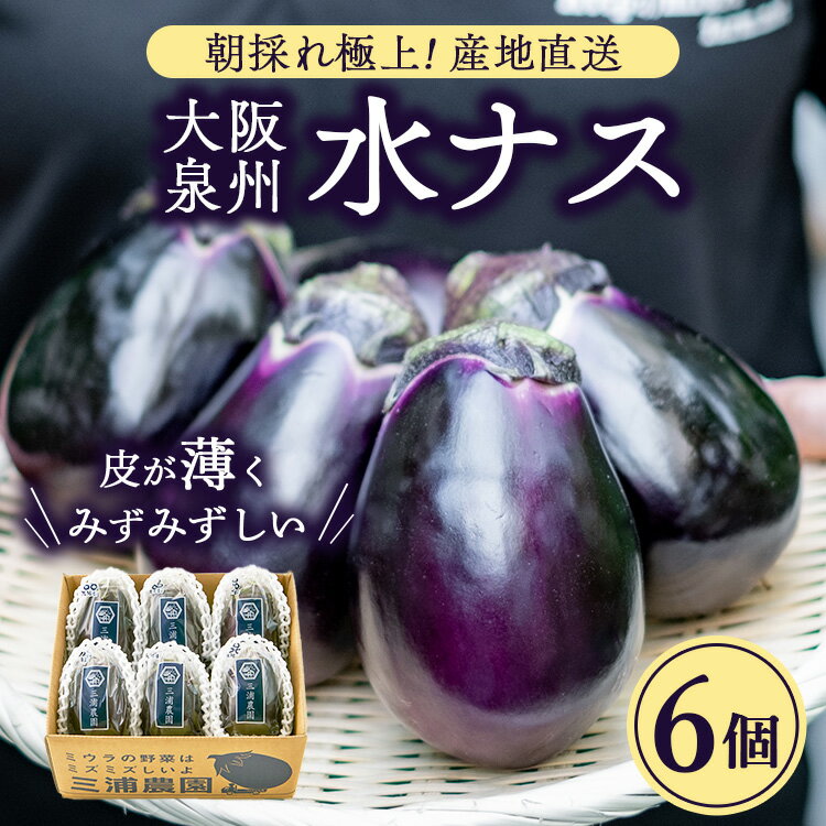 【ふるさと納税】朝採り極上 生水なす 6個セット | 野菜 やさい 茄子 泉州水ナス 新鮮 朝採れ 産地直送 大阪府 泉大津市 ※北海道・沖縄・離島への配送不可