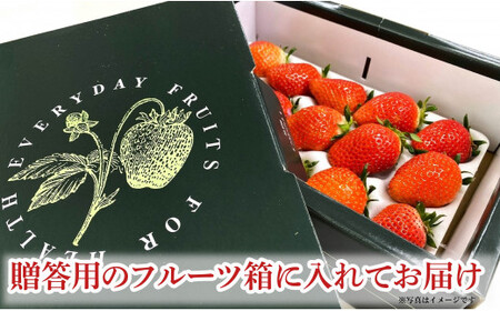 先行予約 いちご とちおとめ 1箱 （約400g） 林いちご園 銚子産 苺 いちご イチゴ ビタミンC 葉酸 食物繊維 朝採れ デザート ミルフィーユ フルーツ ヨーグルト スムージー 千葉県 銚子市