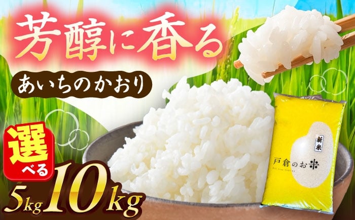 
            米 ＼選べる内容量・発送月／ あいちのかおり 白米 5kg / 10kg お米 精米 米 お米 5kg 5キロ 10kg 10キロ 白米 精米 新米 コメ ご飯 ごはん 愛知県産 国産 県産米 国産米 あいちのかおり 産地直送 令和7年 愛知県 愛西市 / 株式会社戸倉トラクター [AECS001-002] 
          