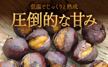 京都府綾部産 丹波焼き栗 1kg ： 焼き栗 丹波栗 栗 クリ