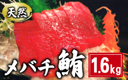 メバチまぐろ 切身 約1.6kg 鮪 ﾏｸﾞﾛ