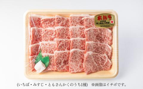 A5飛騨牛希少部位 おまかせ1種 430g いちぼ みすじ ともさんかく【冷凍】 飛騨牛 牛肉 赤身 ブランド牛 肉ギフト やきにく 焼き肉 焼肉用 【11-1015】