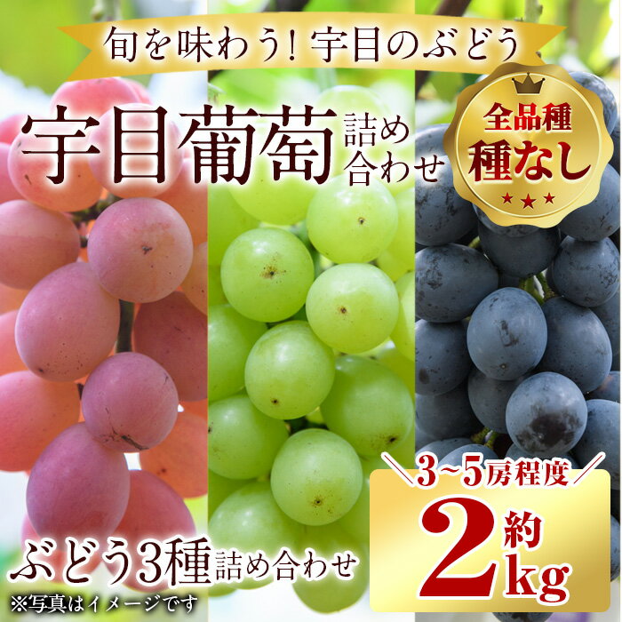 【ふるさと納税】＜先行予約受付中！2025年9月以降順次発送予定＞宇目葡萄 3種詰め合わせ(合計2kg・3-5房) ピオーネ 安芸クイーン ハニービーナス 種無し ぶどう【AY71】【(公財)さいき農林公社】