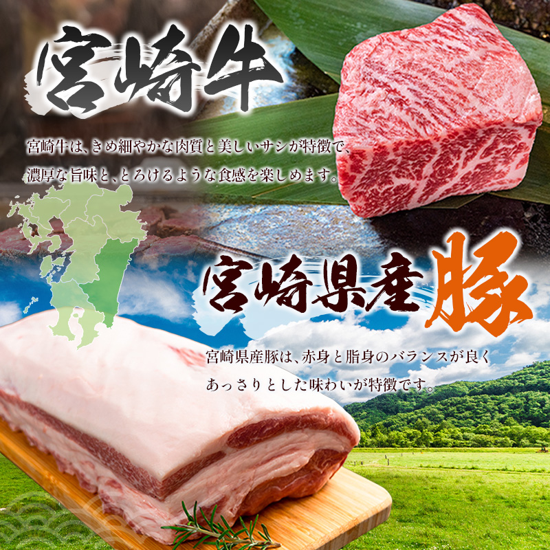 ＜選べる内容量＞宮崎牛×県産豚 ステーキ食べ比べ セット 国産 人気 おすすめ 宮崎県産 ジューシー 冷凍【C458-D155】_イメージ4