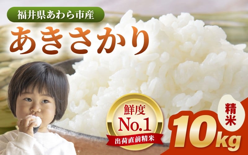 
            【令和7年産・新米】あきさかり 精米 10kg × 1袋（計10kg） ／ 福井県産 ブランド米 ご飯 白米 お米 コメ 新鮮 新米 [aw012-b017]
          