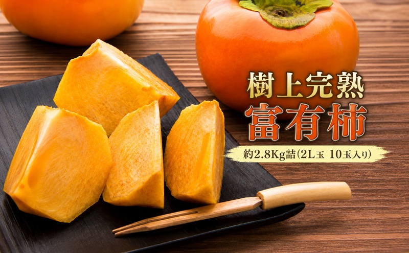 【福岡県朝倉産】もぎたて樹上完熟富有柿 木の上でじっくり熟した、みずみずしく濃厚な甘み ［一番美味しい時期にお届け］正品 化粧箱 2L玉 10玉入り 約2.8Kg詰