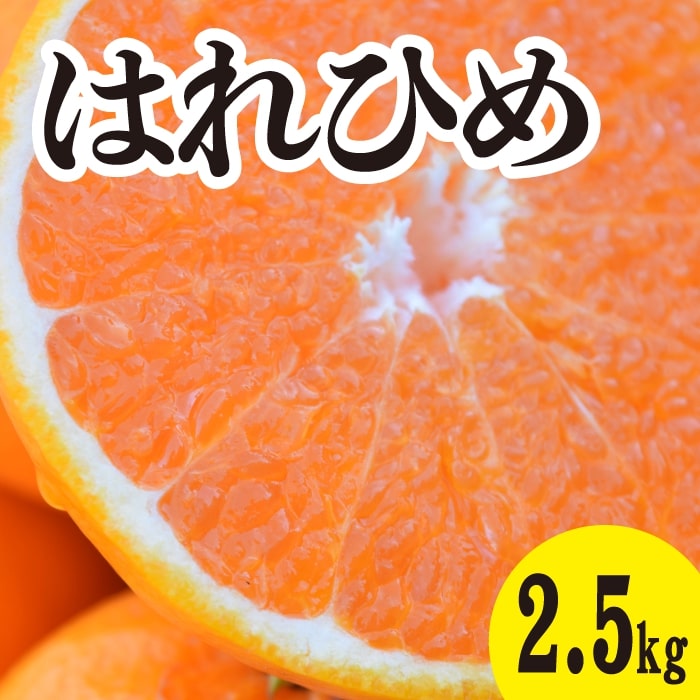 【ふるさと納税】みかん【先行受付】【2026年1月以降発送】 爽やかな香りと甘さに満足！ 新品種 はれひめ ＜約2.5kg＞ 広島 三原 佐木島 鷺島みかんじま 017042