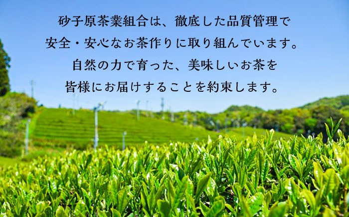 ふるさとの味 あんがいまいよ 煎茶・和紅茶セット ティーバッグ 飲み比べ 紅茶 煎茶 島根県雲南市/砂子原茶業組合 [AIBV004]